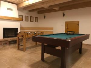 a room with a pool table and a tv at Zevlův mlýn in Nové Hrady