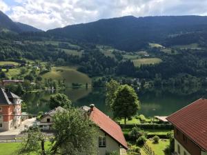 Příroda nedaleko apartmánu