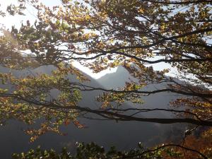 una vista de una montaña a través de las ramas de un árbol en Chata Holica PIENINY, en Lesnica