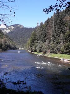 a river with a group of boats in it at Chata Holica PIENINY in Lesnica