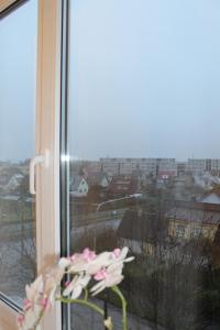 a vase of flowers sitting on a window sill at Niine Apartment in Haapsalu