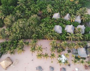 an aerial view of a beach with palm trees at Hotel Descalzo in Zipolite