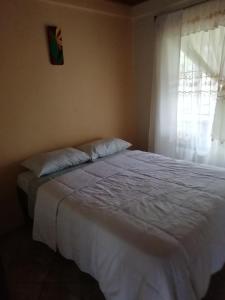 1 dormitorio con 1 cama blanca grande y ventana en Casas de Campo Las Pavitas Cottages "Red Frog", en Palma