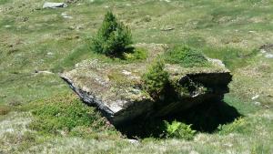 Příroda nedaleko apartmánu