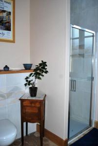 ein Bad mit einem WC und einer Glasdusche in der Unterkunft Les Cimaises du Couvent in Beaune