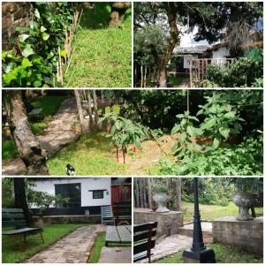 Jardín al aire libre en Cedron Hostel