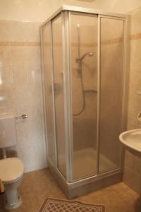 a bathroom with a shower with a toilet and a sink at CIADIN APPART. in Badia