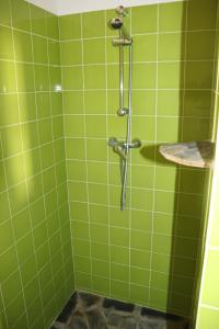 eine grün geflieste Dusche in einem grünen Badezimmer in der Unterkunft Casa da Pedra-Quinta do Briando in Portalegre