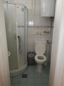 a small bathroom with a shower and a toilet at Ohrid apartments in Ohrid