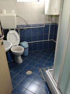 a blue tiled bathroom with a toilet and a sink at Ohrid apartments in Ohrid