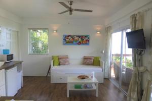 a small living room with a couch and a tv at Marigot Palms Luxury Caribbean Apartment Suites in Marigot Bay