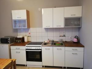 Kuchnia lub aneks kuchenny w obiekcie Apartament Parkowy