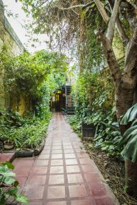 a walkway in a garden with trees and plants at La Casita de Salta in Salta