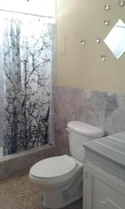 y baño con aseo y cortina de ducha. en Casa San Benito, en San Salvador