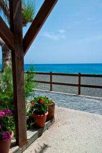 two potted plants sitting on a porch near the ocean at Villa Irida in Psari Forada