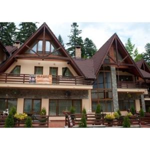 a large house with a brown roof at Pensiunea Eliza in Sinaia