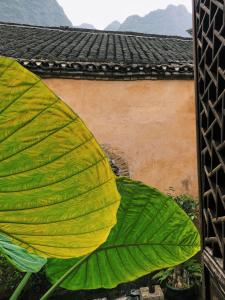 Fotografie z fotogalerie ubytování Laojia, a Qing dynasty house v destinaci Xingping