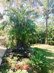 a garden with a palm tree in a yard at la maison du bonheur in Saint-Pierre