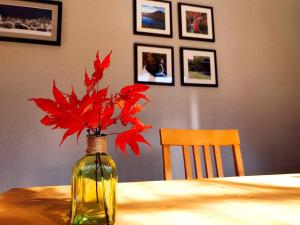 Fotografie z fotogalerie ubytování B&B Izumi Nikko v destinaci Nikko