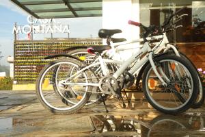 Катание на велосипеде по территории Casa Montana Munnar или окрестностям