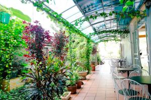 uma estufa com plantas, mesas e cadeiras em Catba Central Hotel 2 em Ilha de Cát Bà