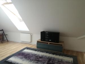 Televízia a/alebo spoločenská miestnosť v ubytovaní Apart Hotel 37 (108 m2)