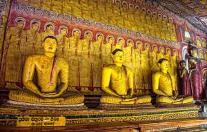 Foto dalla galleria di Rock View Home Stay a Dambulla