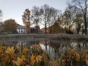 einen Teich vor einem weißen Haus mit einem Gebäude in der Unterkunft Aan de Jordaan in Boutersem