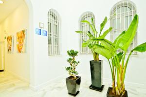 Fotografia z galérie ubytovania NineSuites v destinácii Seville