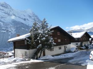 Casa Almis, Grindelwald през зимата