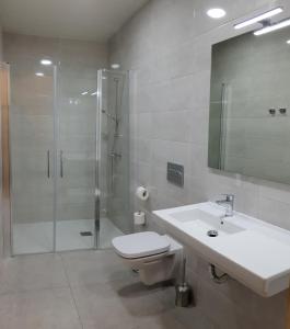 a bathroom with a toilet, sink, and shower at Hostal Capitol Ramblas in Barcelona