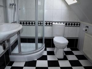 een badkamer met een douche, een toilet en een wastafel bij Vakantiepark Het Timmerholt 11 in Westerbork