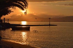 a sunset over a body of water with a palm tree at Karagiannis in Keramoti