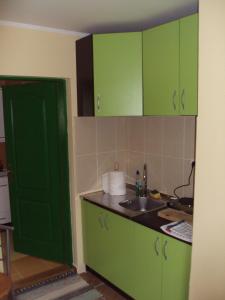 Cuisine ou kitchenette dans l'établissement Apartman Rudnik