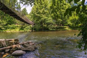 Φωτογραφία από το άλμπουμ του Treetop Tennessee σε Townsend