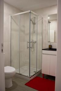 La salle de bains est pourvue d'une douche, de toilettes et d'un lavabo. dans l'établissement Red House By The River, à Porto