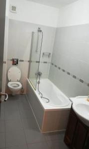 普雷代亚尔Apartment partia Clabucet的相册照片