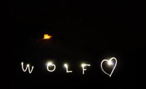 Fotografia z galérie ubytovania wolf.tirol v destinácii Ladis