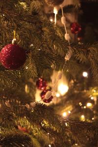 Un primo piano di un albero di Natale con le luci di The Boe Rigg a Hexham