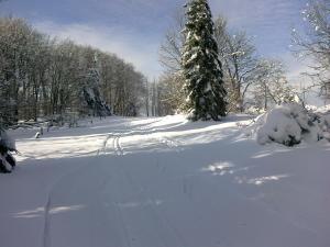 una carretera cubierta de nieve con un árbol en la distancia en Apartmány Polevsko, en Polevsko