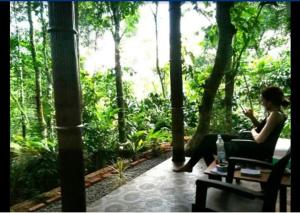 Gallery image of Periyar Green Bed & Breakfast in Thekkady