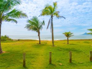 a group of palm trees in a field with the ocean at Pousada Pé Na Areia in Caraguatatuba