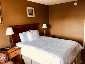 Postel nebo postele na pokoji v ubytování Americas Best Value Inn Laredo