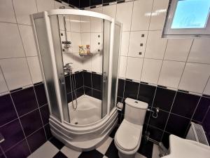 un baño con ducha y WC en Apartman White, en Belgrado