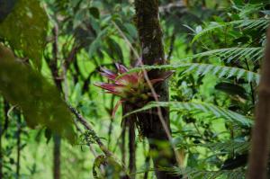 ArcabucoGlamping Finca Corazón的相册照片