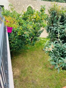 Zahrada ubytování B&B Di Fiore