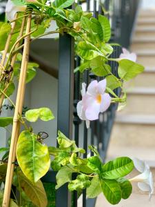 Zahrada ubytování B&B Di Fiore