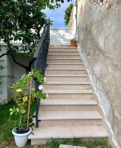 Fotografie z fotogalerie ubytování B&B Di Fiore v destinaci Peschici