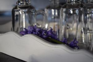 un montón de flores púrpuras en botellas de vidrio en Lodge El Sarao A Una Hora De Puerto Varas, en Fresia