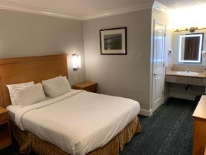Postel nebo postele na pokoji v ubytování Stargazer Inn and Suites